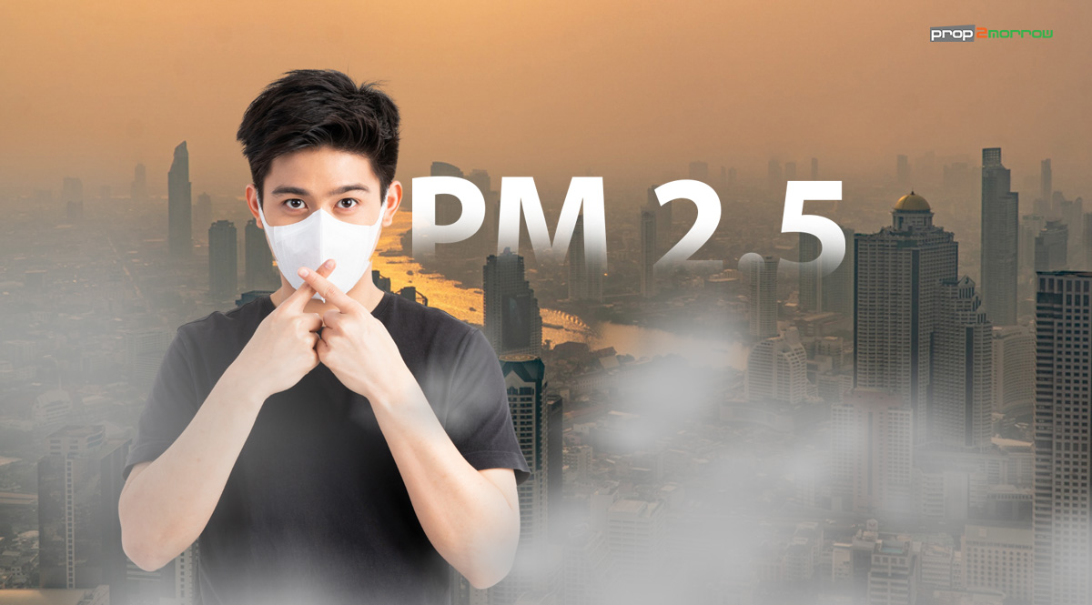 Read more about the article สู้ฝุ่น PM 2.5 เคล็ดลับเสริมความปลอดภัยในบ้านและอาคาร