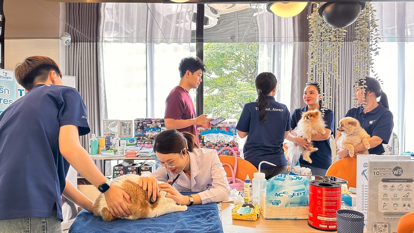 Read more about the article พรีโม เดินหน้า “Pet-Friendly Community” สร้างมาตรฐานใหม่ การันตีทีมงานมืออาชีพเฉพาะด้าน ใส่ใจทุกมิติเพื่อสัตว์เลี้ยง   