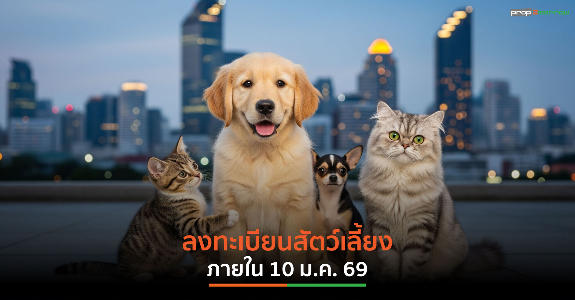 Read more about the article คนรักสัตว์ต้องรู้! กฎหมายใหม่ กทม. จัดระเบียบครั้งใหญ่ คน-สัตว์ แฮปปี้ มีผล 10 มกราคม 2569 นี้
