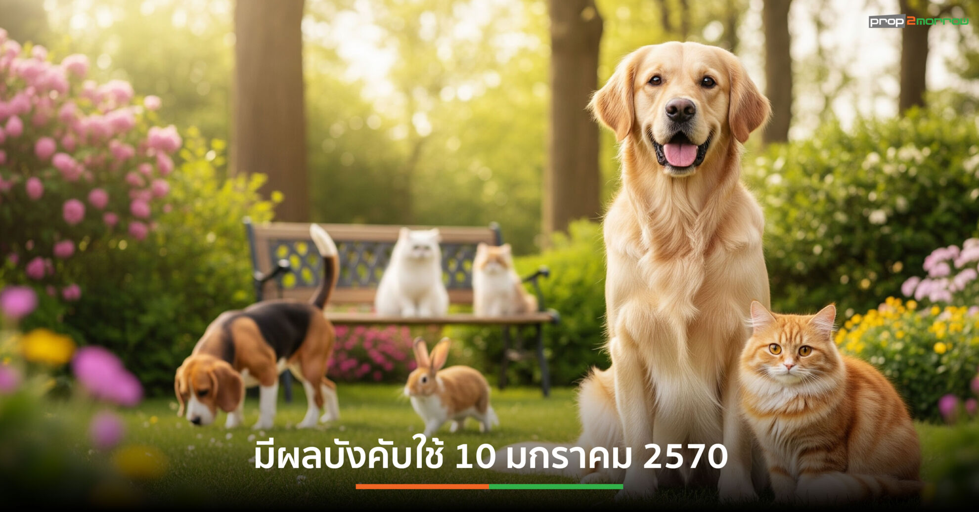 Read more about the article สภา กทม. ยืดเวลาบังคับใช้ข้อบัญญัติควบคุมการเลี้ยงหรือปล่อยสัตว์ ออกไป 1 ปี