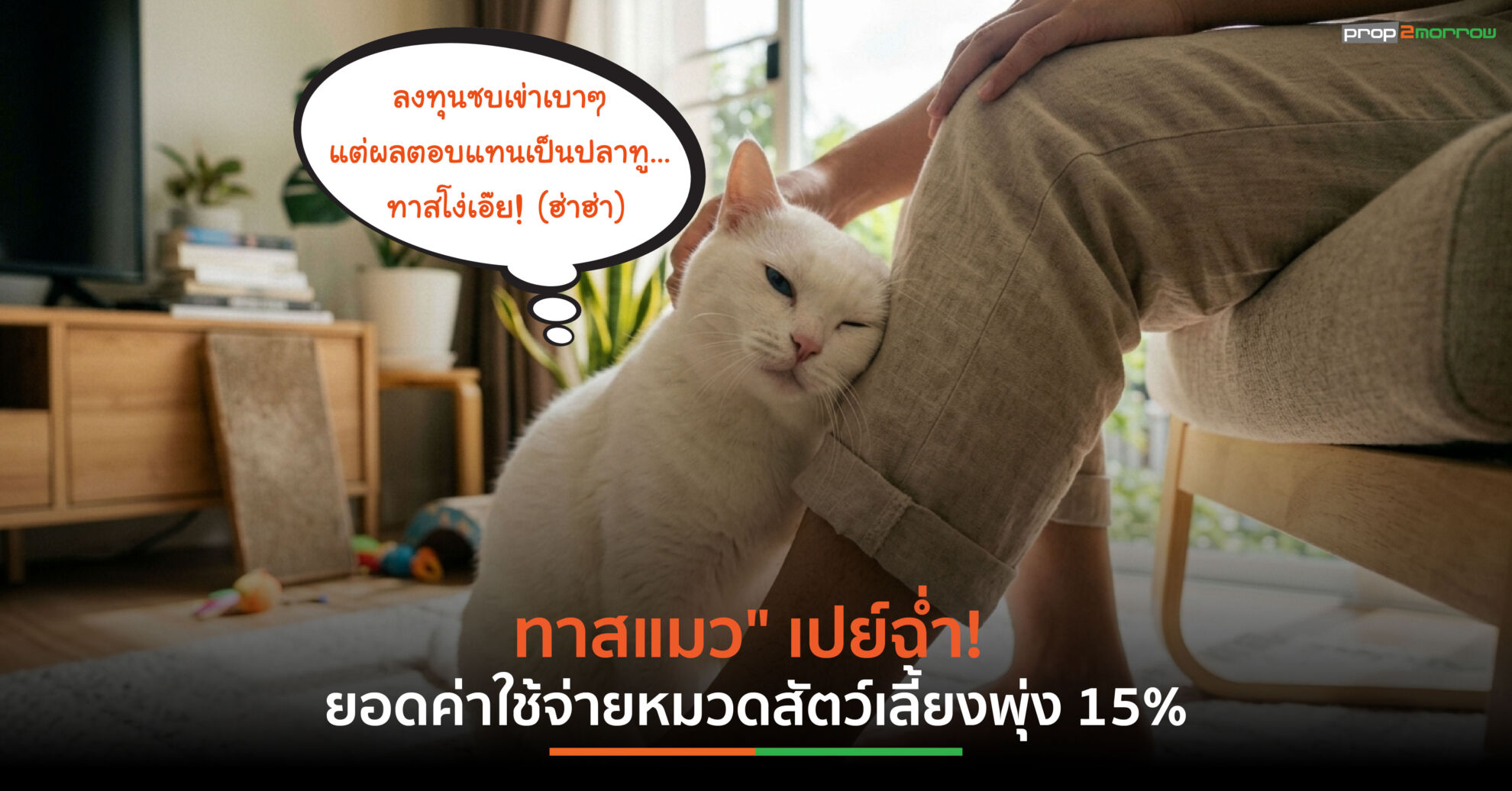 Read more about the article ทาสแมวเปย์ฉ่ำ! เพื่อ Pet Experience Economy ยอดใช้จ่ายหมวดสัตว์เลี้ยงพุ่ง 15%